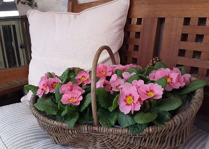 Szálloda Bremer Bergisch Gladbach